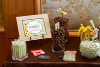briscoe-baby-shower-umstead-6