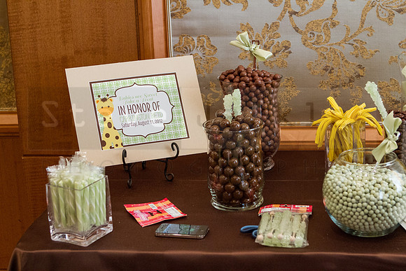 briscoe-baby-shower-umstead-6