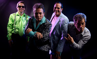 Love Bucket:  Raleigh Party Band