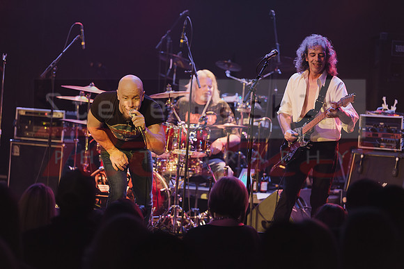 NC Unchained Van Halen Tribute Band