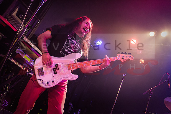 NC Unchained Van Halen Tribute Band