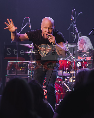 NC Unchained Van Halen Tribute Band