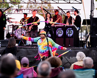 The Soul Psychedelique Orchestra