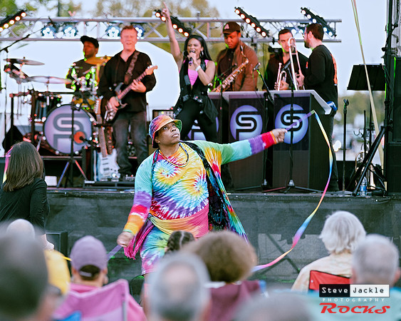 The Soul Psychedelique Orchestra