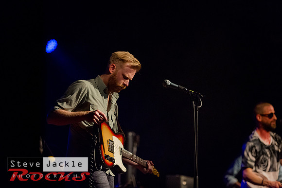 Paul Sayer — guitars