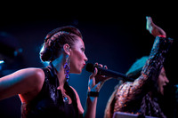 The Soul Psychedelique: Lincoln Theatre