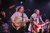 The Occasionals Band