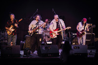 The Occasionals Band
