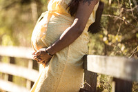 Shivani and Akash Patel Maternity/Couple session