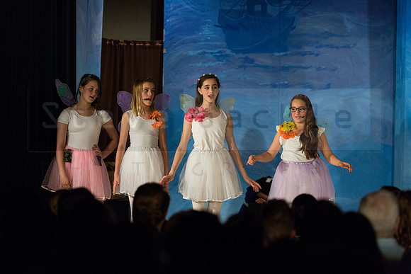 Peter Pan Jr. Play: Hillburn Academy April 2016