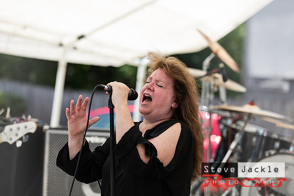 Driver Band: Ray Price 35th Anniversary Show