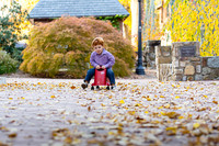 campbell-11-2012-11