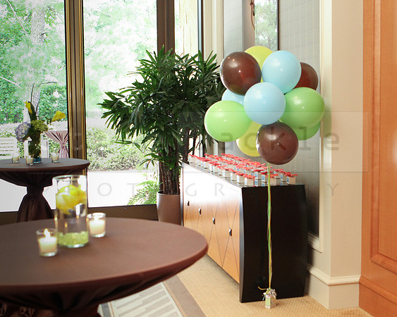 briscoe-baby-shower-umstead-11