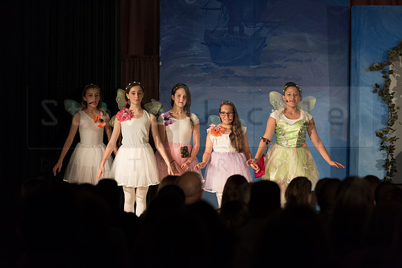 Peter Pan Jr. Play: Hillburn Academy April 2016