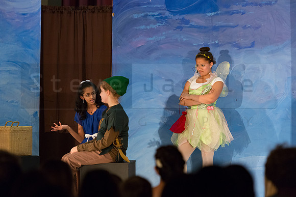 Peter Pan Jr. Play: Hillburn Academy April 2016
