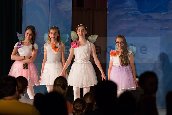 Peter Pan Jr. Play: Hillburn Academy April 2016