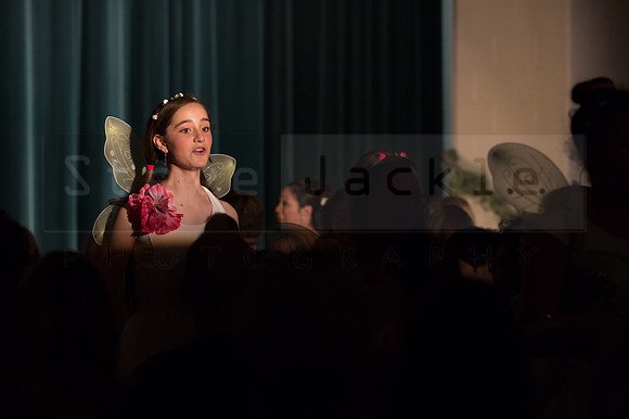 Peter Pan Jr. Play: Hillburn Academy April 2016
