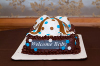 briscoe-baby-shower-umstead-3