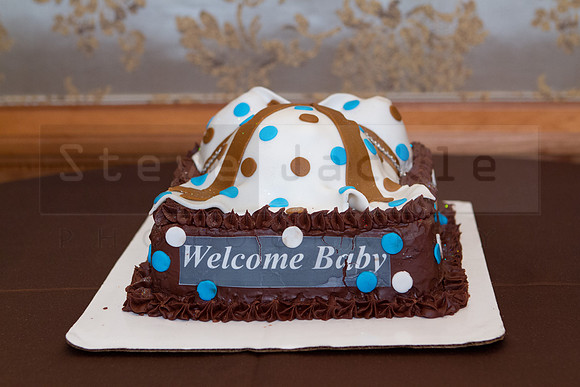 briscoe-baby-shower-umstead-3
