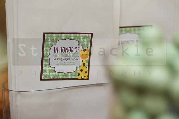 briscoe-baby-shower-umstead-19