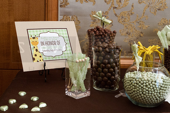 briscoe-baby-shower-umstead-13