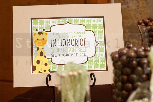 briscoe-baby-shower-umstead-18