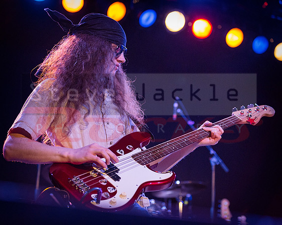 Bassist Colin James Reed
